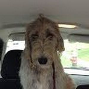 Meet your Posher, Colleen